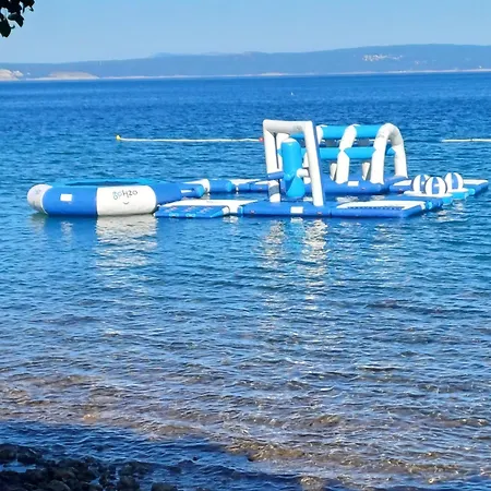 Loni * Кленовица