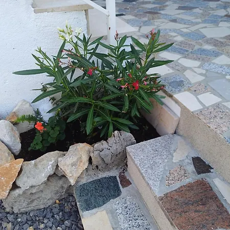 Loni Apartmán Klenovica